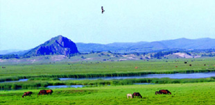 ������ͳ��ս��